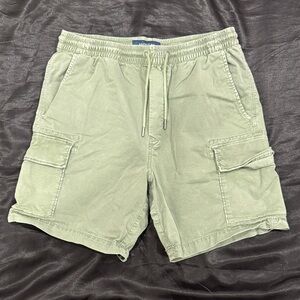 American Eagle Outfitters Sage Cargo Shorts